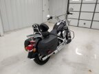 Thumbnail Photo 4 for 2020 Harley-Davidson Softail