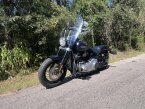 Thumbnail Photo 3 for 2020 Harley-Davidson Softail Slim