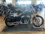 Thumbnail Photo 6 for 2020 Harley-Davidson Softail