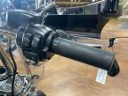 Thumbnail Photo 4 for 2020 Harley-Davidson Softail