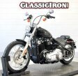 Thumbnail Photo 2 for 2020 Harley-Davidson Softail Standard
