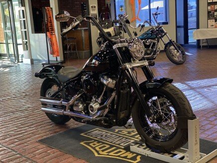 Photo 1 for 2020 Harley-Davidson Softail