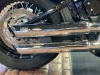 Thumbnail Photo 5 for 2020 Harley-Davidson Softail