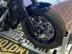 Thumbnail Photo 1 for 2020 Harley-Davidson Softail