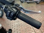 Thumbnail Photo 2 for 2020 Harley-Davidson Softail