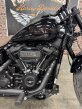 Thumbnail Photo 1 for 2020 Harley-Davidson Softail Low Rider S
