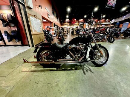 Photo 1 for 2020 Harley-Davidson Softail Standard