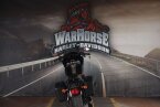 Thumbnail Photo 2 for 2020 Harley-Davidson Softail Low Rider