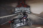 Thumbnail Photo 1 for 2020 Harley-Davidson Softail Low Rider