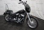 Thumbnail Photo 6 for 2020 Harley-Davidson Softail