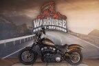 Thumbnail Photo 4 for 2020 Harley-Davidson Softail Street Bob