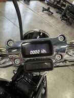 Thumbnail Photo 2 for 2020 Harley-Davidson Softail Standard