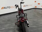 Thumbnail Photo 5 for 2020 Harley-Davidson Softail