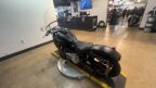 Thumbnail Photo 1 for 2020 Harley-Davidson Softail Slim