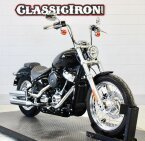 Thumbnail Photo 1 for 2020 Harley-Davidson Softail Standard