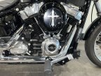 Thumbnail Photo 3 for 2020 Harley-Davidson Softail Standard