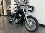 Thumbnail Photo 1 for 2020 Harley-Davidson Softail Standard