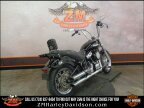 Thumbnail Photo 5 for 2020 Harley-Davidson Softail Standard