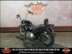 Thumbnail Photo 4 for 2020 Harley-Davidson Softail Standard