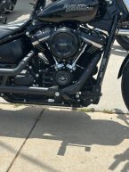 Thumbnail Photo 1 for 2020 Harley-Davidson Softail Street Bob