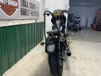 Thumbnail Photo 4 for 2020 Harley-Davidson Softail Low Rider S