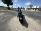 Thumbnail Photo 6 for 2020 Harley-Davidson Softail Low Rider S