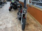Thumbnail Photo 2 for 2020 Harley-Davidson Softail Low Rider