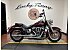 2020 Harley-Davidson Softail