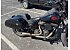 2020 Harley-Davidson Softail Low Rider S