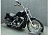 2020 Harley-Davidson Softail Standard