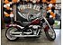 2020 Harley-Davidson Softail Fat Boy 114