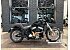 2020 Harley-Davidson Softail