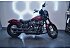 2020 Harley-Davidson Softail Street Bob