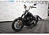 2020 Harley-Davidson Softail