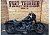 2020 Harley-Davidson Softail Low Rider S