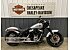 2020 Harley-Davidson Softail Slim