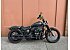 2020 Harley-Davidson Softail Street Bob