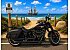 2020 Harley-Davidson Softail Fatboy Anniversary