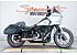 2020 Harley-Davidson Softail Low Rider S