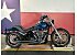 2020 Harley-Davidson Softail