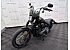 2020 Harley-Davidson Softail