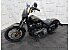 2020 Harley-Davidson Softail