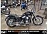 2020 Harley-Davidson Softail Standard