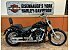 2020 Harley-Davidson Softail Standard