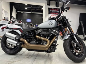2020 Harley-Davidson Softail