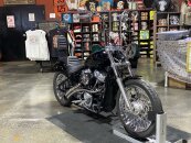 2020 Harley-Davidson Softail