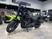 2020 Harley-Davidson Softail Low Rider S