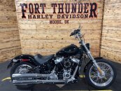 2020 Harley-Davidson Softail Standard