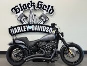 2020 Harley-Davidson Softail Street Bob