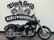 2020 Harley-Davidson Softail Standard